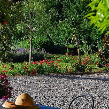 Agriturismo Coppi Rossi Torrazza  Ngoại thất bức ảnh
