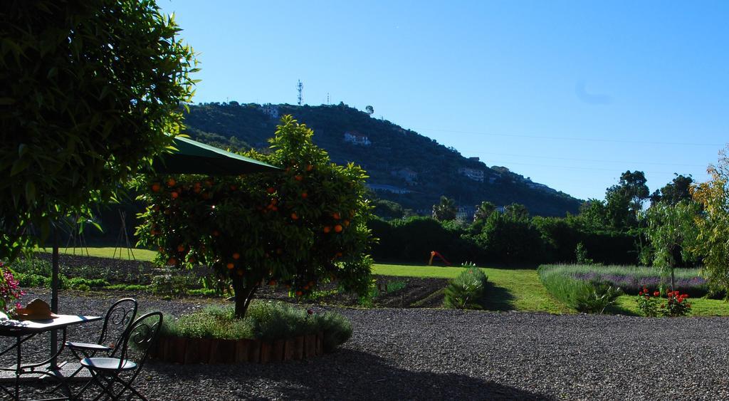 Agriturismo Coppi Rossi Torrazza  Ngoại thất bức ảnh